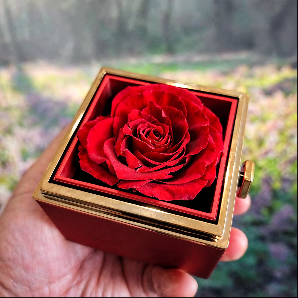 Chapters Cross - Daughter Birthday Necklace with Rose Box